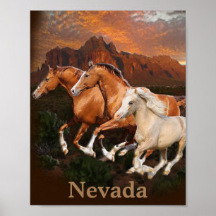 Poster Chevaux sauvages d'Arizona