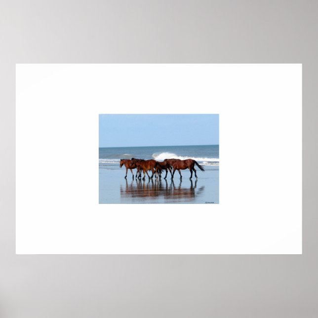 Poster Chevaux sauvages sur la plage (Devant)