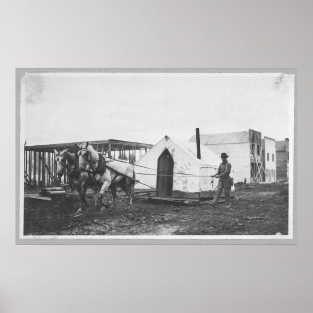 Poster Chevaux Tirant Une Tente (Devant)