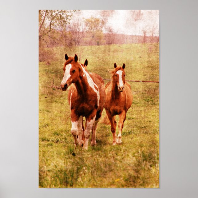 Poster Chevaux Trotting (Devant)