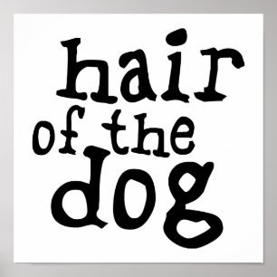 Poster Cheveux du chien