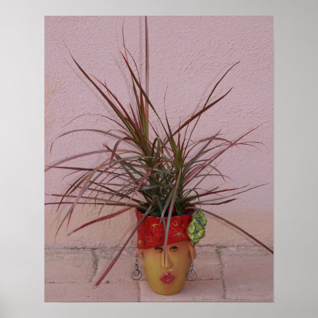 Poster Cheveux, Longs Beaux Cheveux ! (Devant)