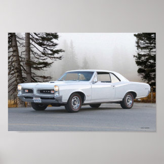 Poster Chèvre blanche Pontiac GTO 1967