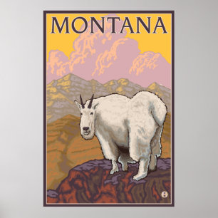Poster Chèvre de montagne - Montana