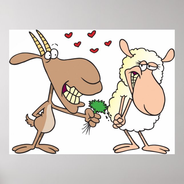 Poster Chèvre Et Mouton En Amour (Devant)
