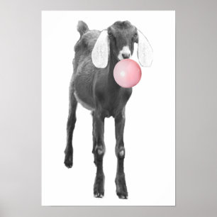 Poster Chèvre Mignonne Noir Blanc Bubble Gum Crèche Enfan