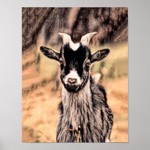 Poster Chèvre Rustique Pays Vintage ferme animal