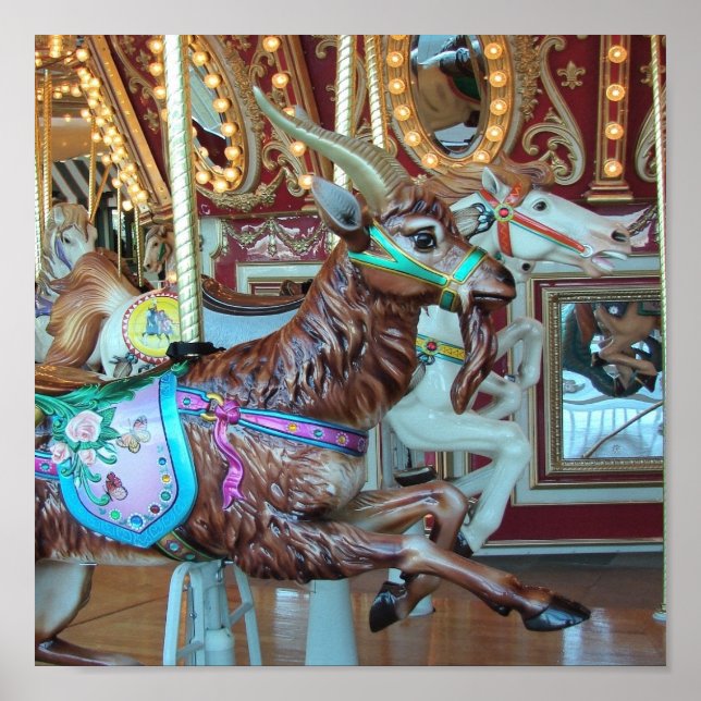 Poster Chèvre sur le Merry-Go-Round (Devant)