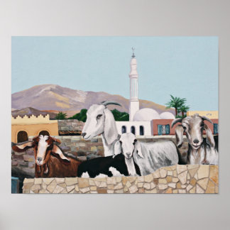 Poster Chèvres Dahab