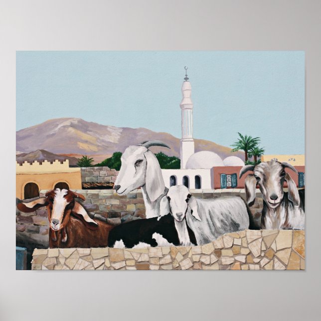 Poster Chèvres Dahab (Devant)