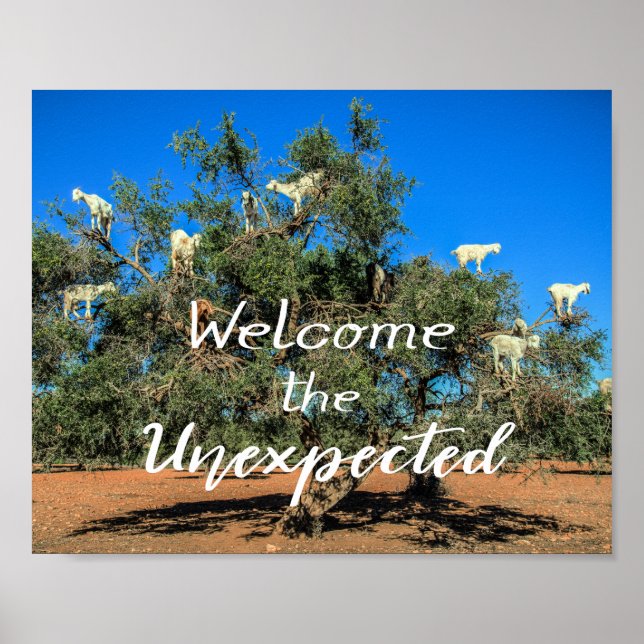 Poster Chèvres dans les arbres Bienvenue à l'inattendu (Devant)