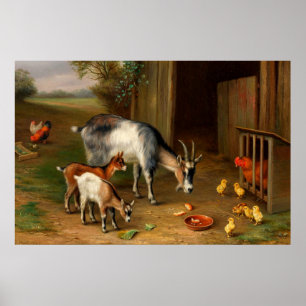 Poster Chèvres Et Poulets À La Ferme