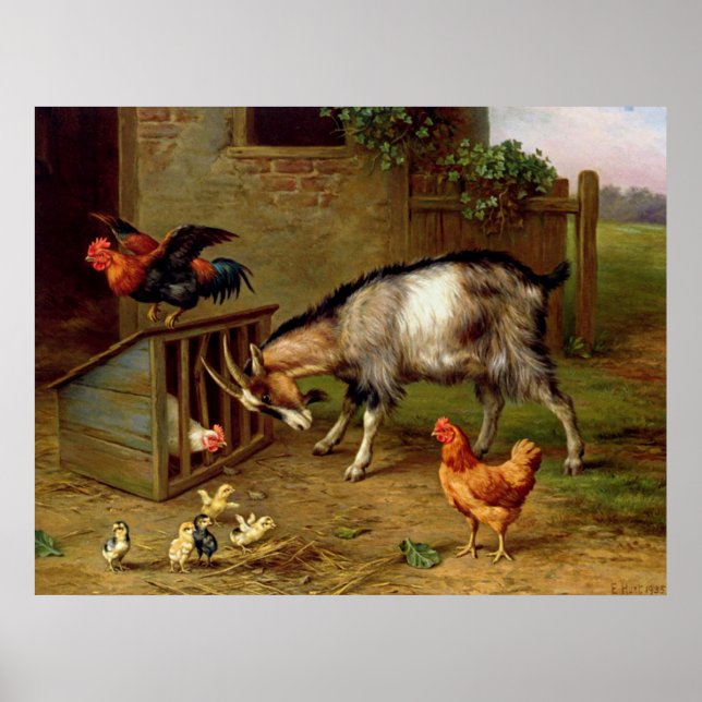 Poster Chèvres vintages Coq Et Poulets Animaux De Ferme (Devant)