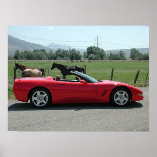 Poster Chevrolet Corvette C5 convertible