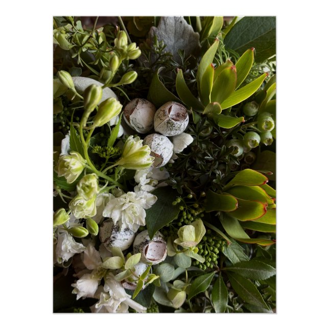 Poster Chic Moody Botanicals (Devant)