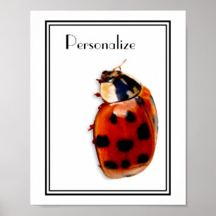Poster Chic Spotted Ladybug Avec Nom