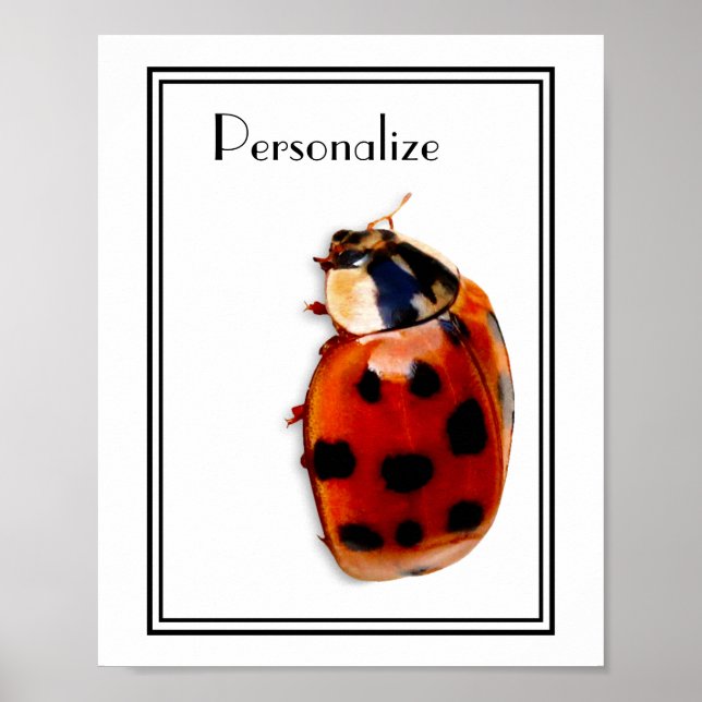 Poster Chic Spotted Ladybug Avec Nom (Devant)