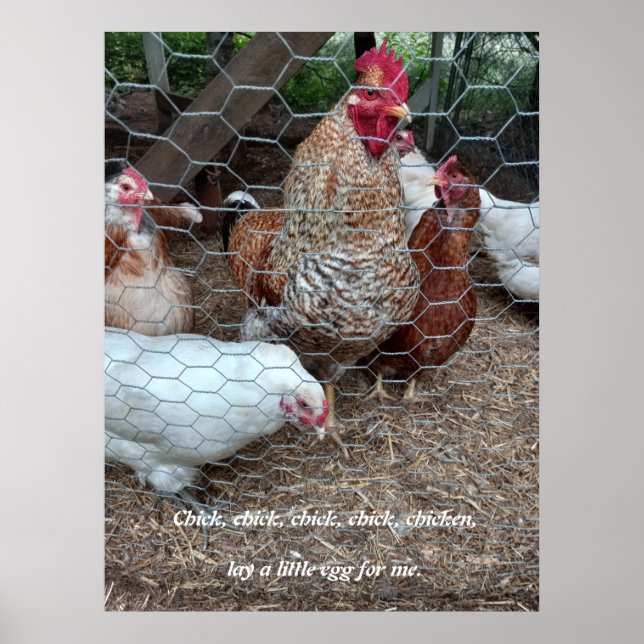 Poster Chick chick fun (Devant)