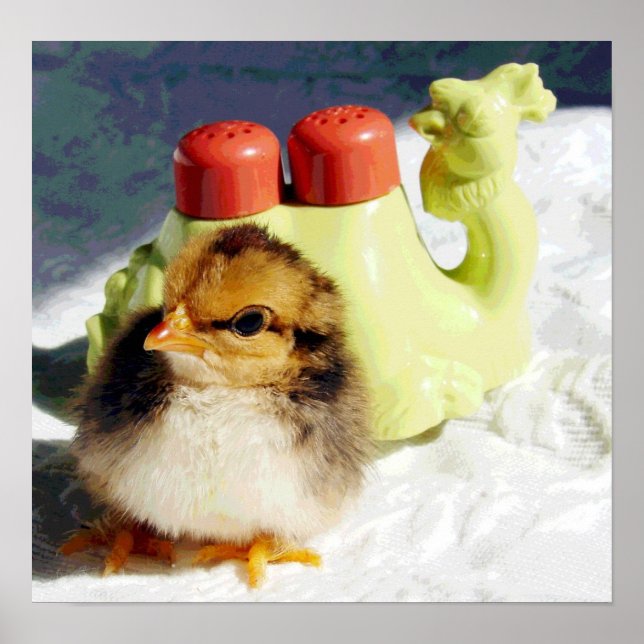 Poster Chick et Camel (Devant)