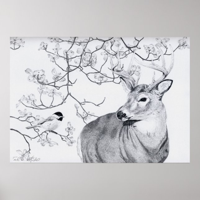 Poster Chickadee's Song (Devant)