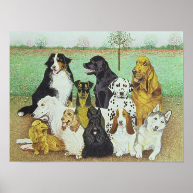 Poster Chien (Devant)
