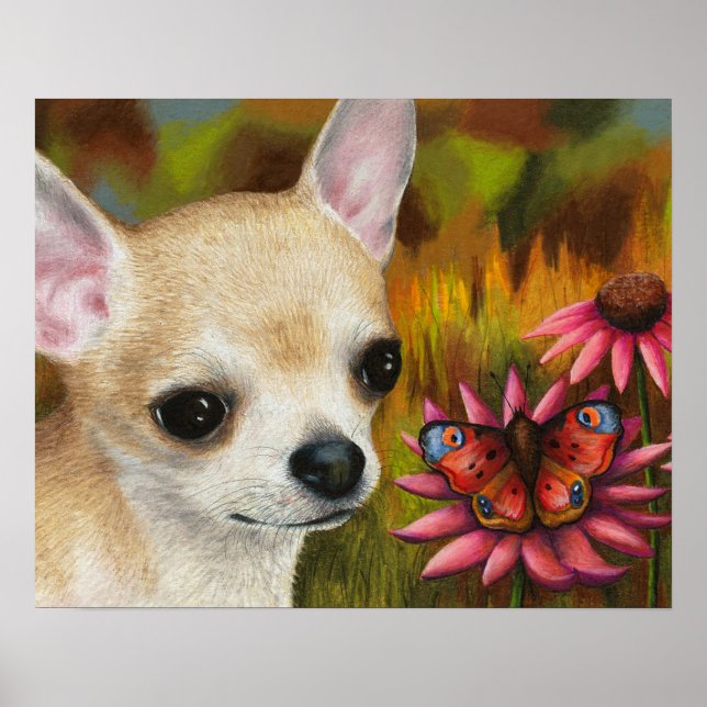 Poster Chien 85 Chihuahua (Devant)