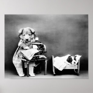 Poster Chien à la machine à coudre - Fabrication des vête