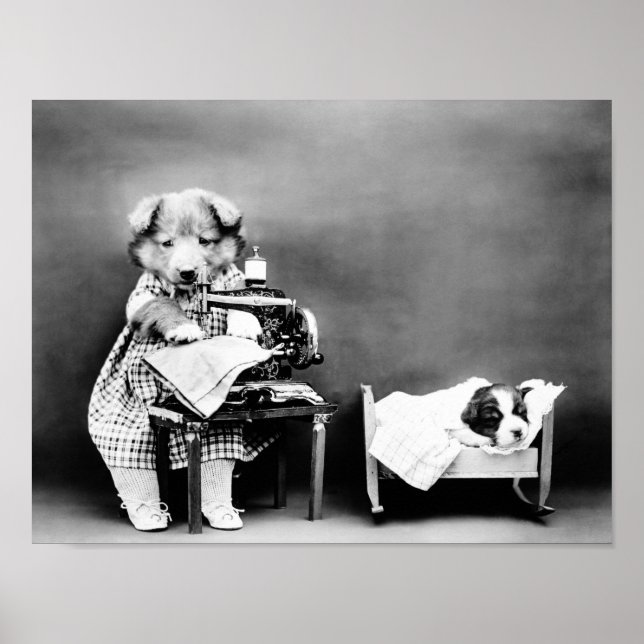 Poster Chien à la machine à coudre - Fabrication des vête (Devant)