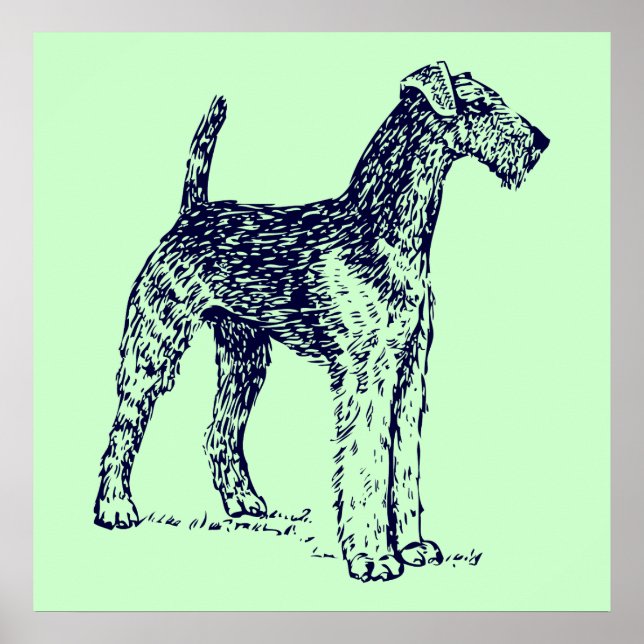 Poster Chien Airedale (Devant)