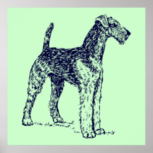 Poster Chien Airedale