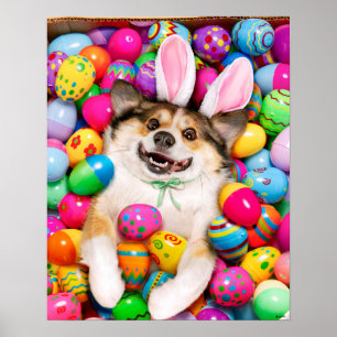 Poster Chien allongé sur des œufs de Pâques
