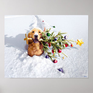 Poster Chien Avec Arbre En Neige