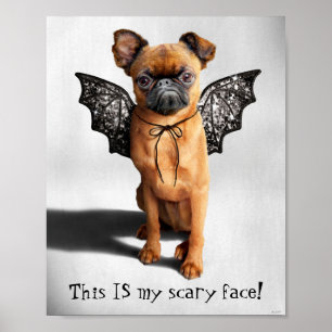 Poster Chien avec des ailes de chaume