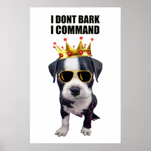 Poster Chien bébé cool avec une phrase drôle en haut