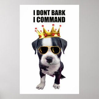 Poster Chien bébé cool avec une phrase drôle en haut