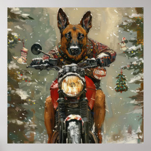Poster Chien belge Malinoi équitation moto Noël
