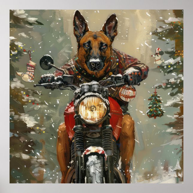Poster Chien belge Malinoi équitation moto Noël (Devant)