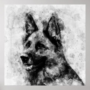 Poster Chien berger allemand Aquarelle noir et blanc