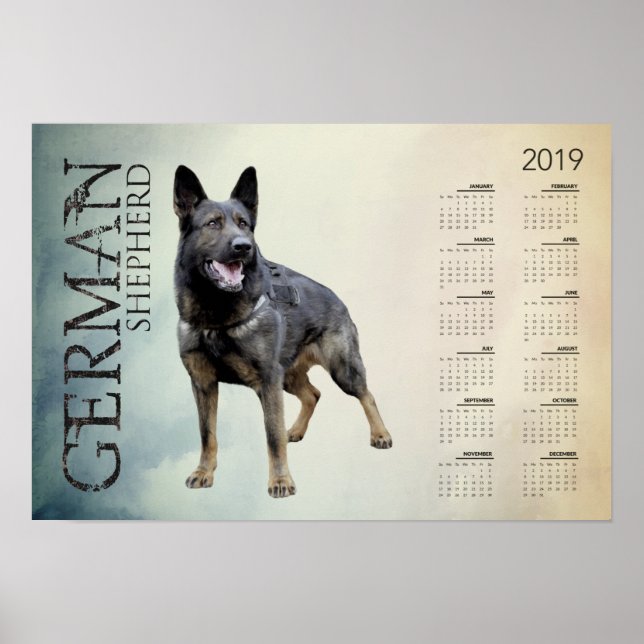 Poster Chien berger allemand - Calendrier GSD 2019 (Devant)