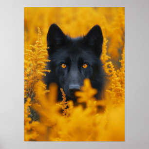 Poster Chien berger allemand Loup noir