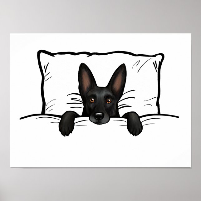 Poster Chien berger allemand noir couché dans un lit (Devant)