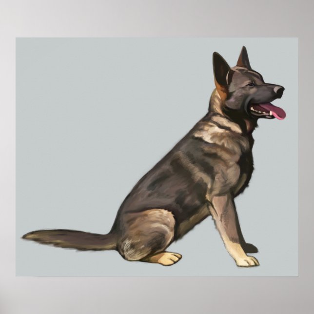 Poster Chien berger allemand Sable (Devant)