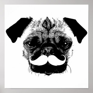 Poster Chien carlin avec Moustache noir & blanc