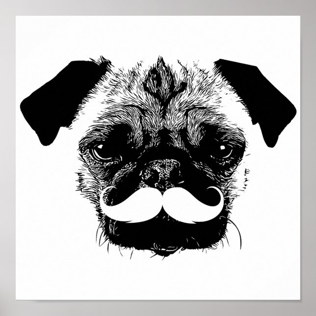 Poster Chien carlin avec Moustache noir & blanc (Devant)