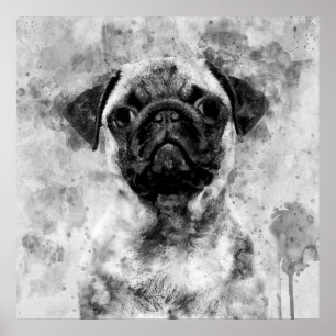 Poster Chien Carlin Noir et Blanc Aquarelle 01