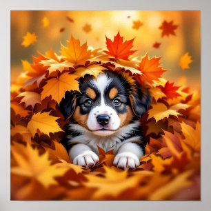 Poster Chien chic mignon dans les feuilles d'automne