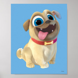 Poster Chien Chien Pal   Roly
