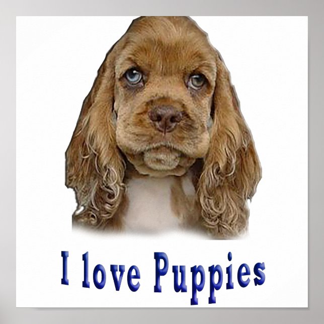 Poster Chien chiot (Devant)