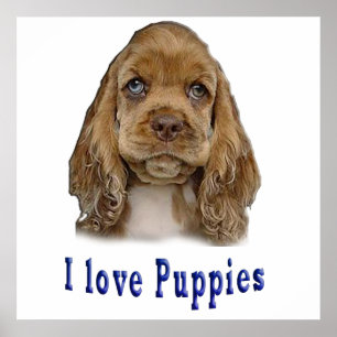 Poster Chien chiot