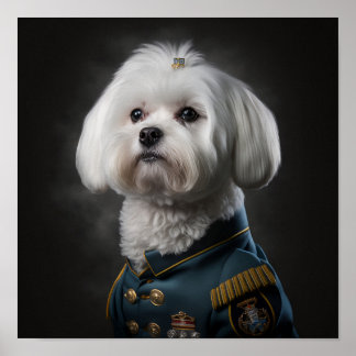 Poster Chien chiot maltais Fantastique portrait militaire